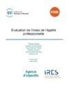 Évaluation de l’Index de l’égalité professionnelle
